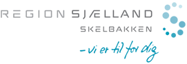 Skelbakken logo